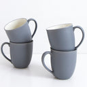 Colorwave Slate Mug