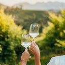 Esperienze White Wine Glass 450ml Set of 2